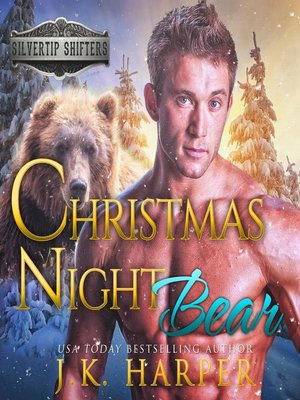 cover image of Christmas Night Bear